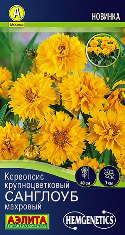 Кореопсис крупноцветковый Санглоуб махровый 7шт /10