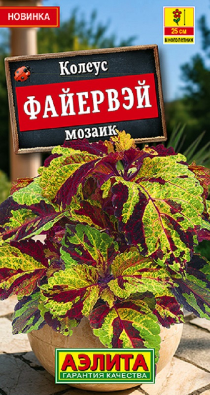 Колеус Файервэй мозаик 5шт /10