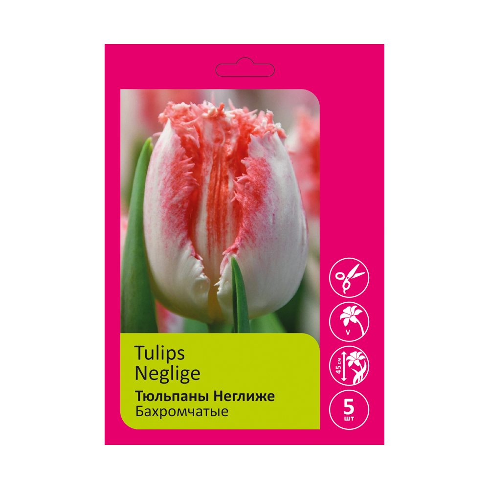 Тюльпаны Неглиже 5шт 12/+/ Tulips Neglige