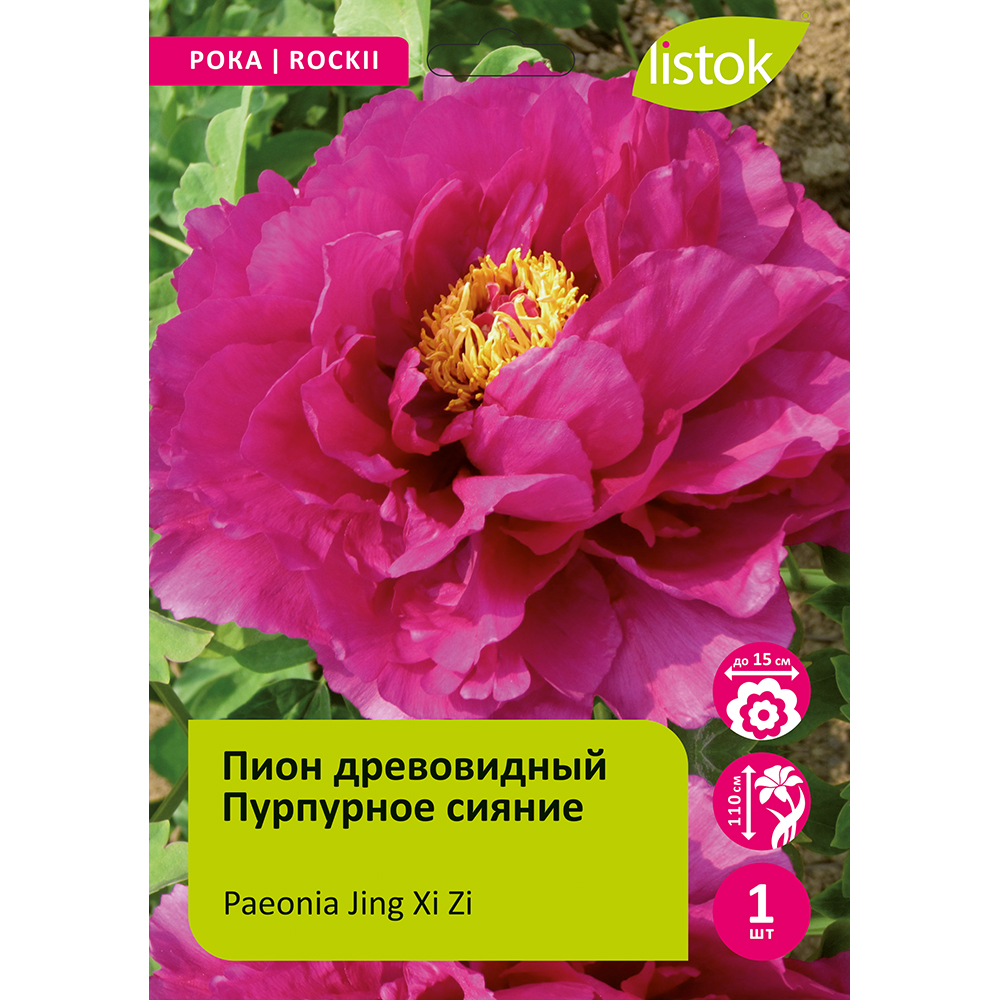 Пион древовидный Пурпурное сияние 1шт/Paeonia Jing Xi Zi (Цзин Си Цзы)