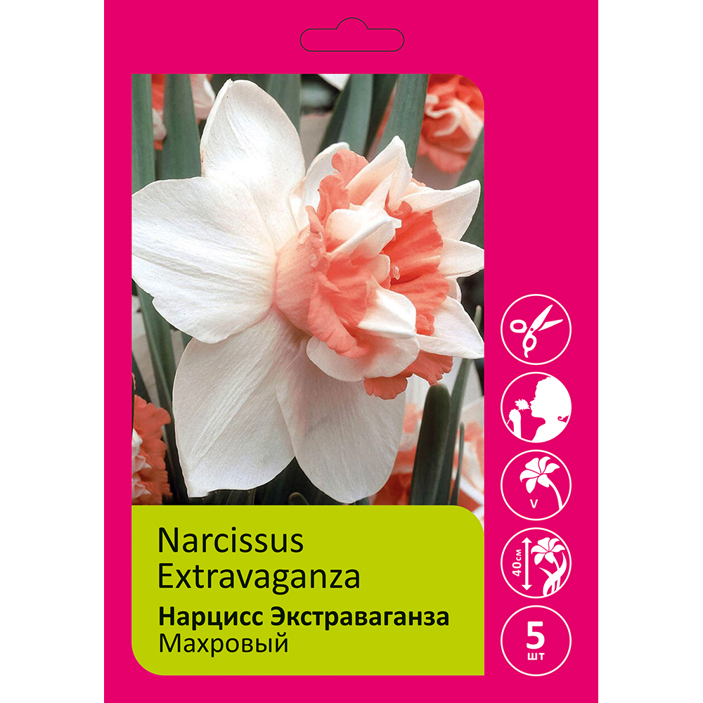 Нарциссы Экстраваганза махровые 5шт 14/16 /NARCISSUS EXTRAVAGANZA