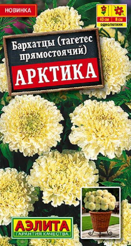 Бархатцы Арктика прямостоячие 0,05гр /10