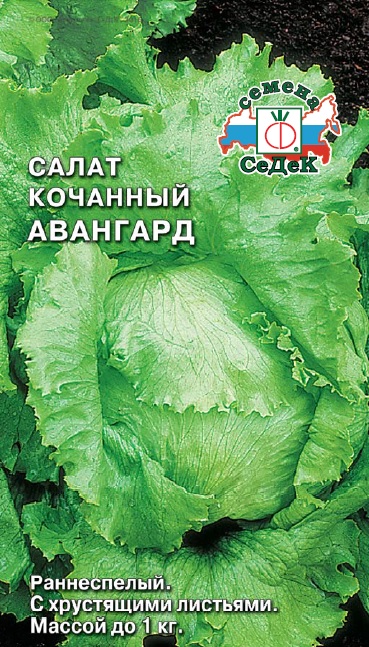 Салат Авангард кочанный  0,5гр/10