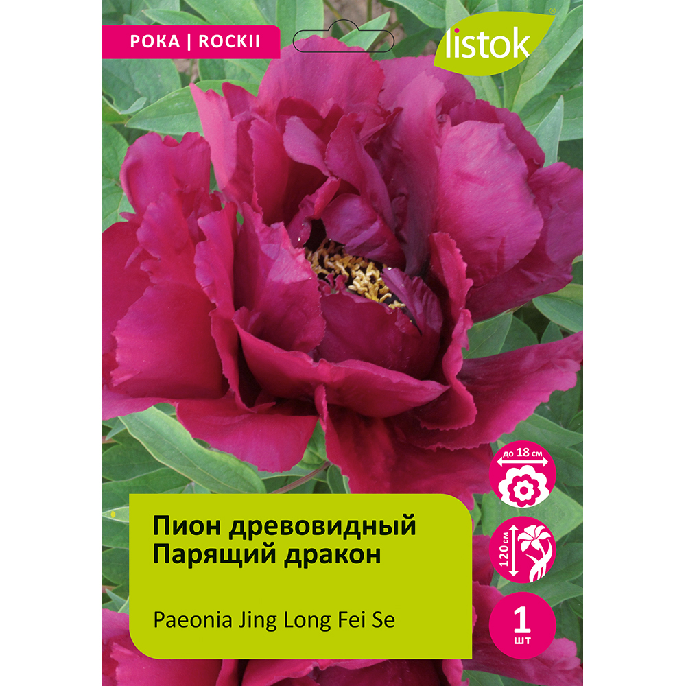 Пион древовидный Парящий дракон 1шт /Paeonia Jing Long Fei Se(Цзин Лонг Фей Се)