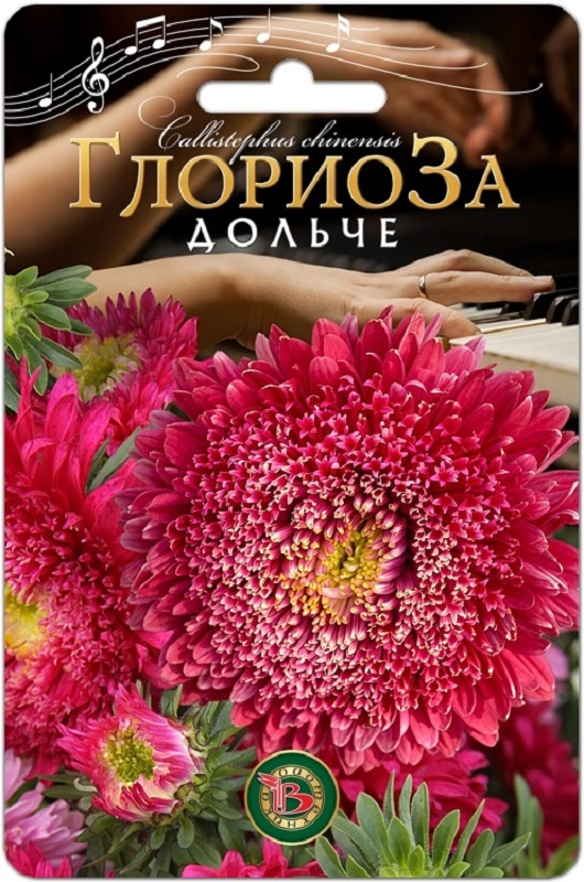 Астра Глориоза Дольче китайская 30шт/5/10