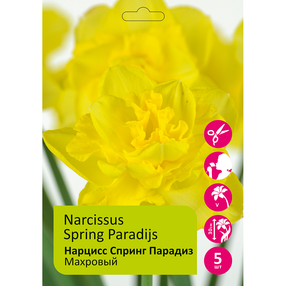 Нарциссы Спринг Парадиз 5шт 14/16/ Narcissus Spring Paradijs