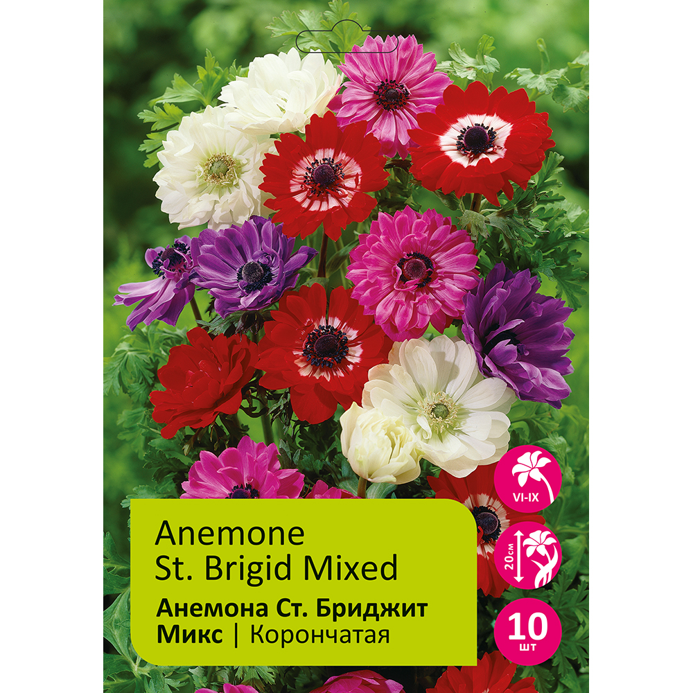 Анемона Ст. Бриджит Микс корончатая 10шт 6/7  /Anemone St. Brigid mixed