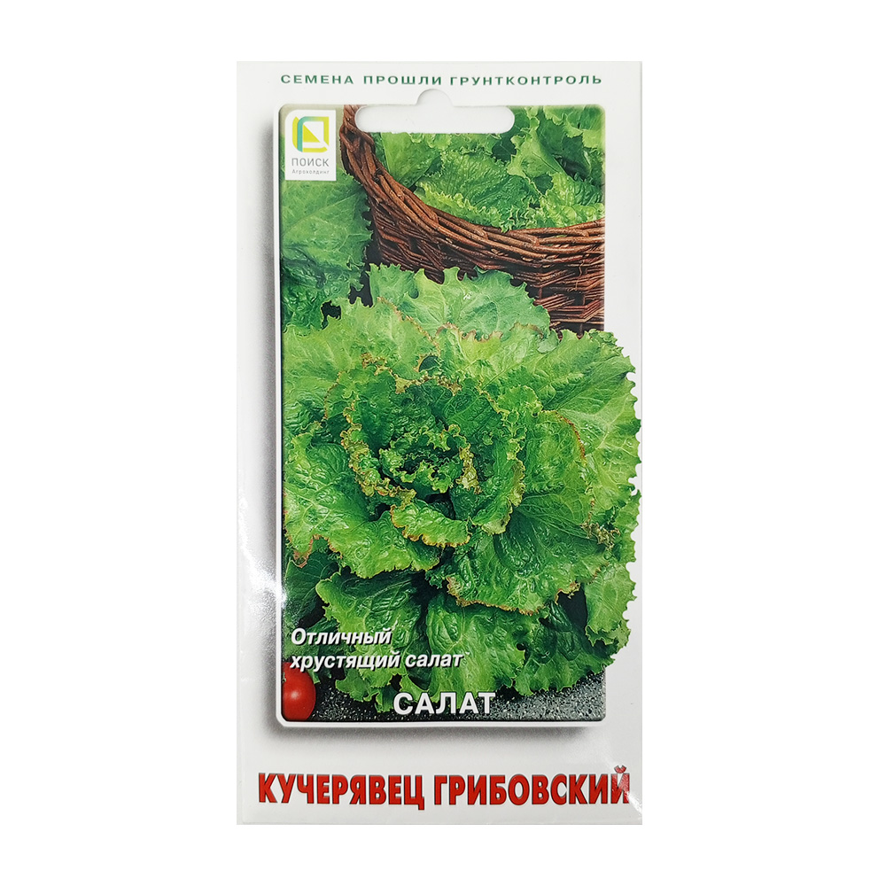 Салат Кучерявец Грибовский п/кочанный 1гр  /10