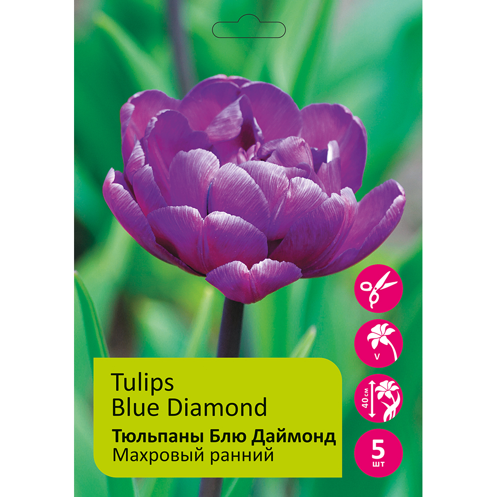 Тюльпаны Блю Даймонд 5шт Махровый ранний 12+ /Tulip Blue Diamond