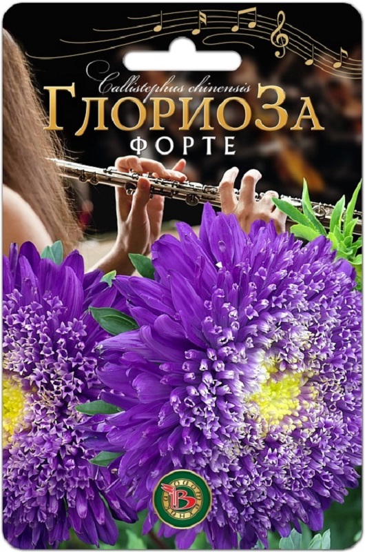 Астра Глориоза Форте китайская 30шт/5/10