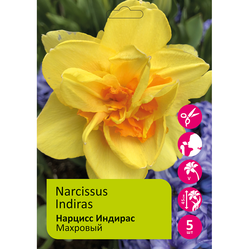 Нарциссы Индирас 5шт 14/16 /NARCISSUS INDIRAS
