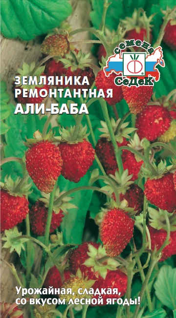 Земляника Али-Баба  0,04гр/10/100