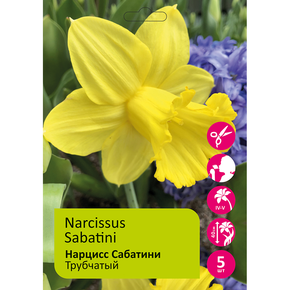 Нарциссы Сабатини 5шт 14/16 /NARCISSUS SABATINI