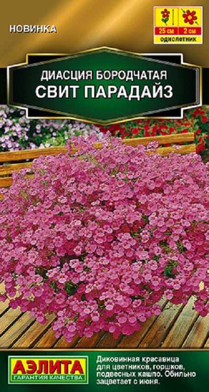 Диасция Свит парадайз 20шт /10