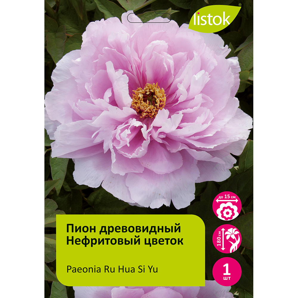 Пион древовидный Нефритовый цветок 1шт/Paeonia Ru Hua Si Yu (Flower like jade)(Ру Хуа Сы Ю)