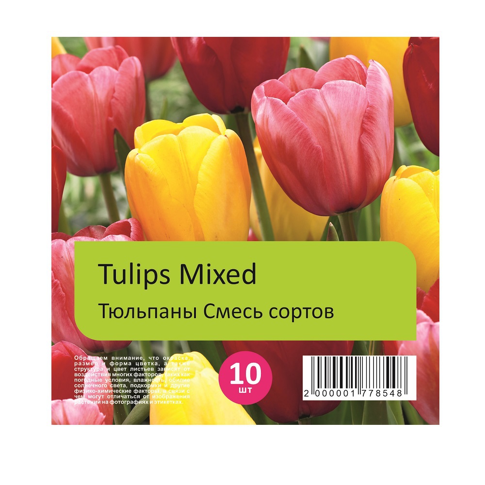 Тюльпаны Смесь сортов 10шт 