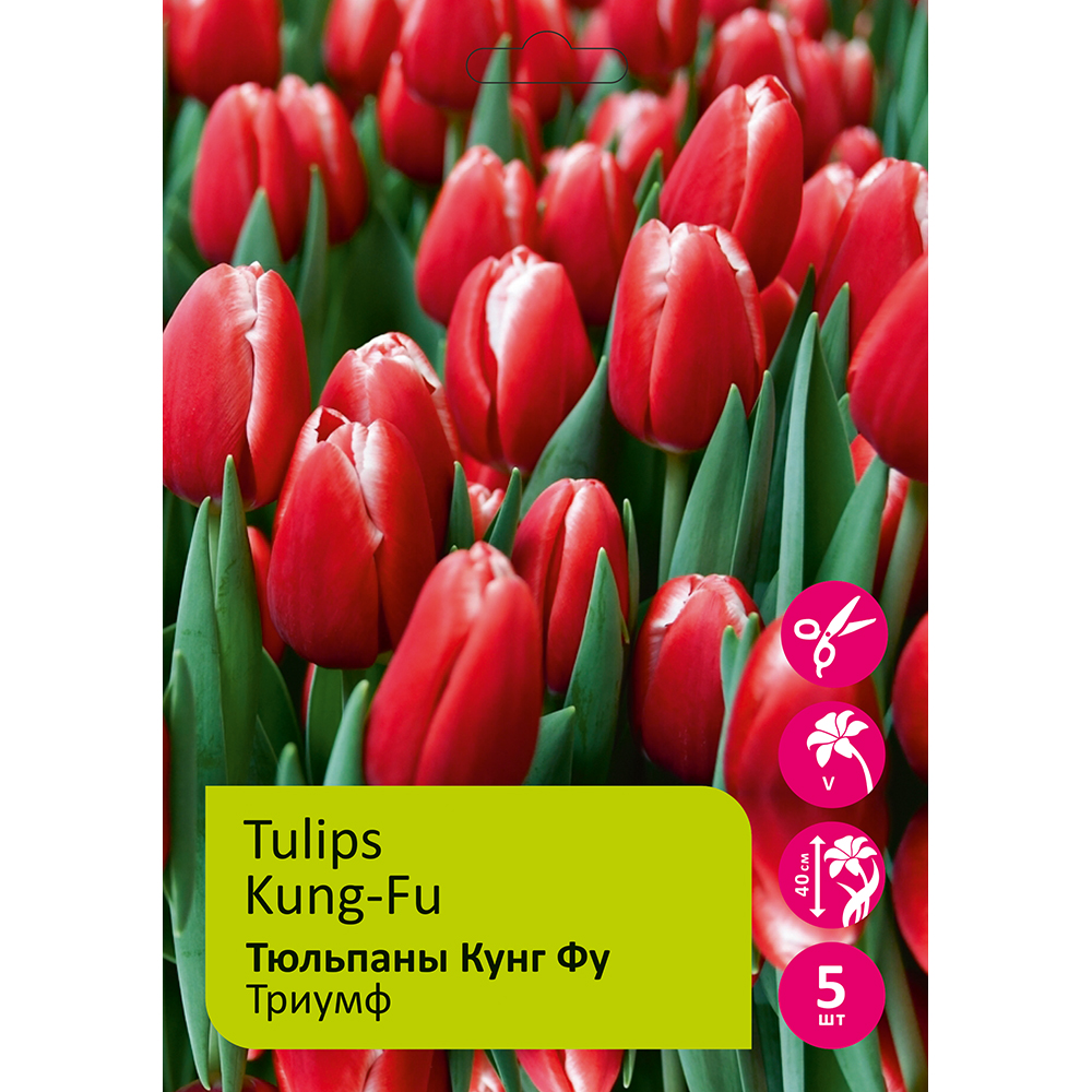 Тюльпаны Кунг Фу 5шт Триумф 12/+/Tulip Kung-Fu
