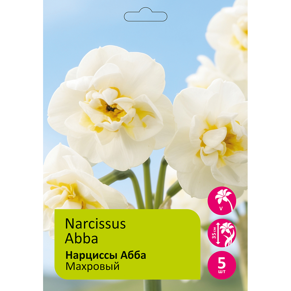 Нарциссы Абба махровые 5шт 14/16 /NARCISSUS ABBA