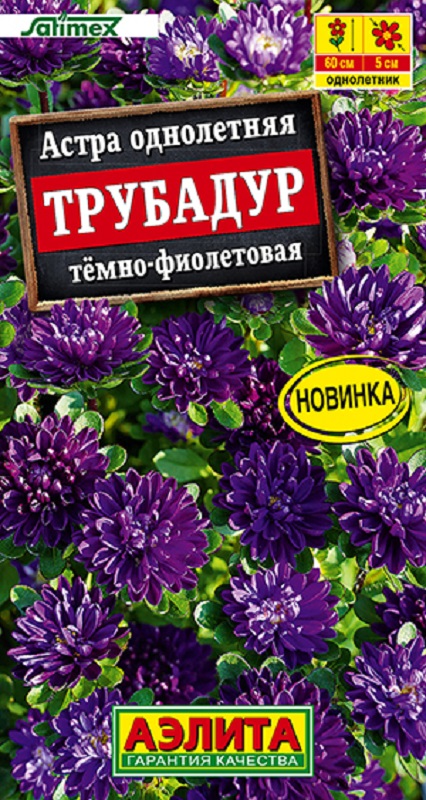 Астра Трубадур тёмно-фиолетовая 20шт /10