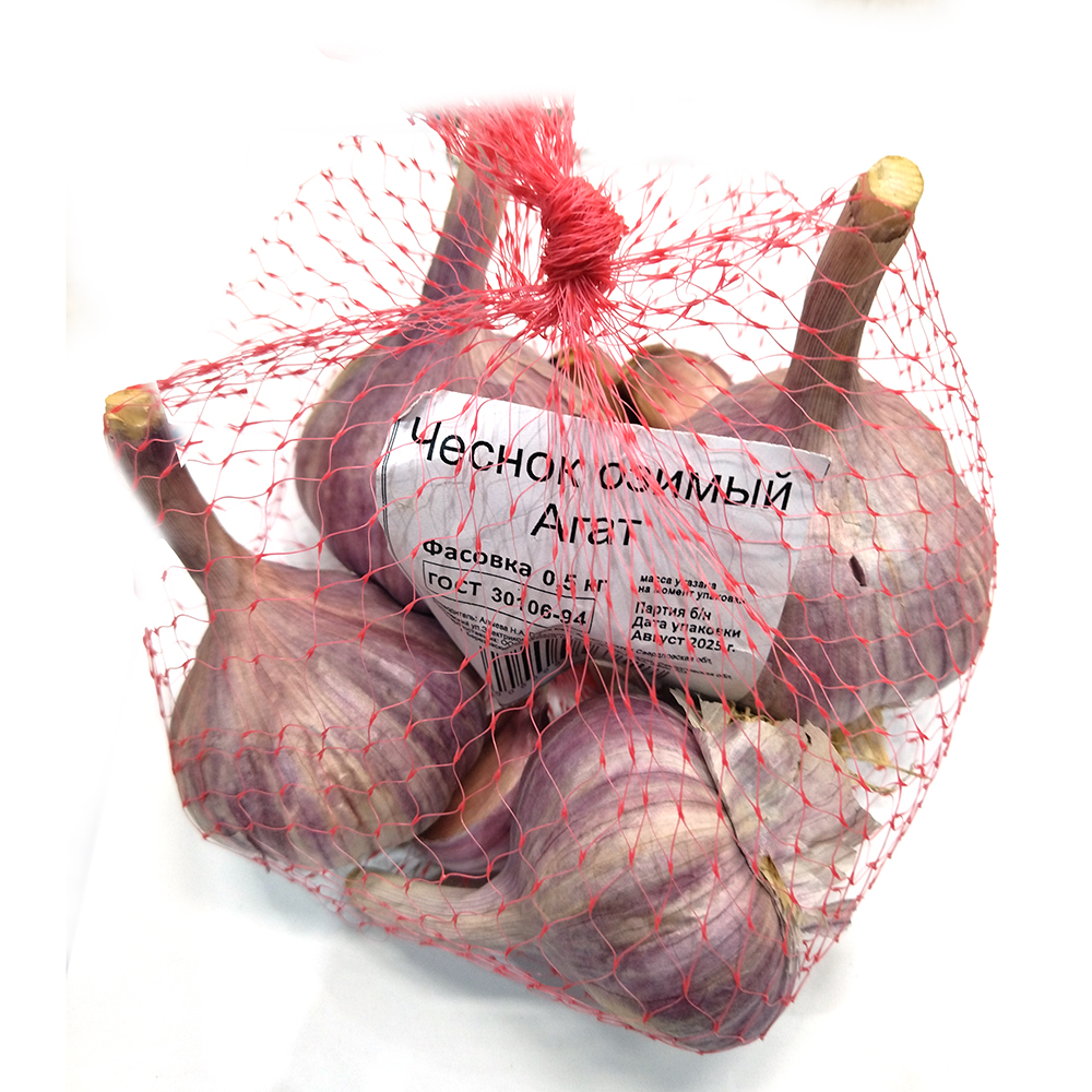 Чеснок семенной Агат 0,5кг +/- 10%