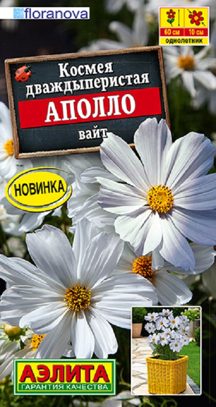 Космея Аполло вайт 5шт /10