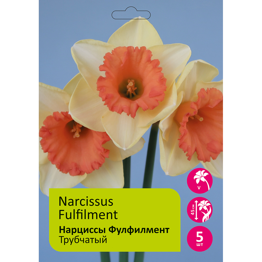 Нарциссы Фулфилмент 5шт 14/16 /NARCISSUS FULFILMENT