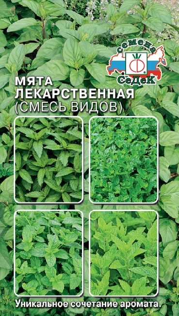 Мята лекарственная смесь  0,05гр/10