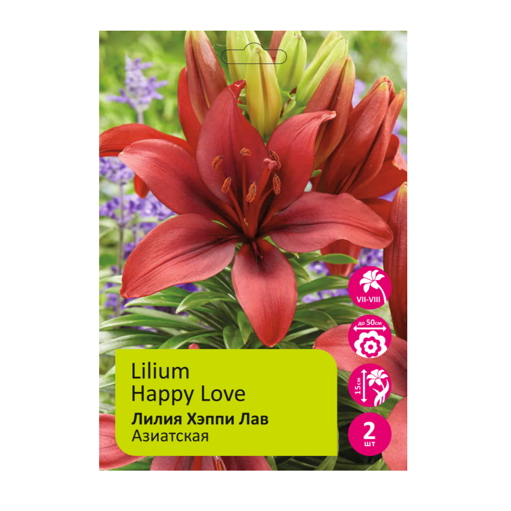Лилия Хэппи Лав 2шт 14/16/Lilium Happy Love