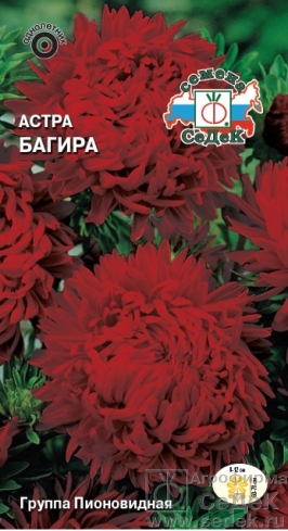 Астра Багира  0,2гр/10