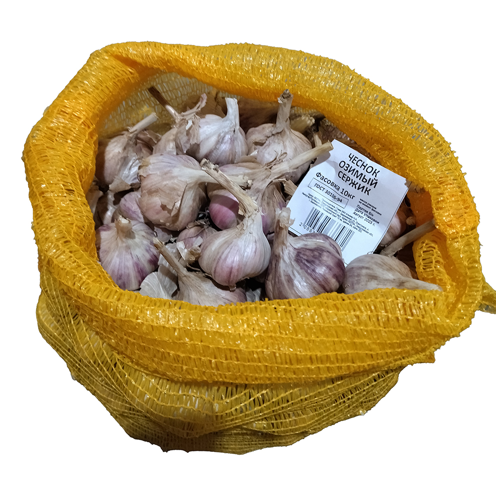 Чеснок семенной Сержик 10кг  +/- 10%