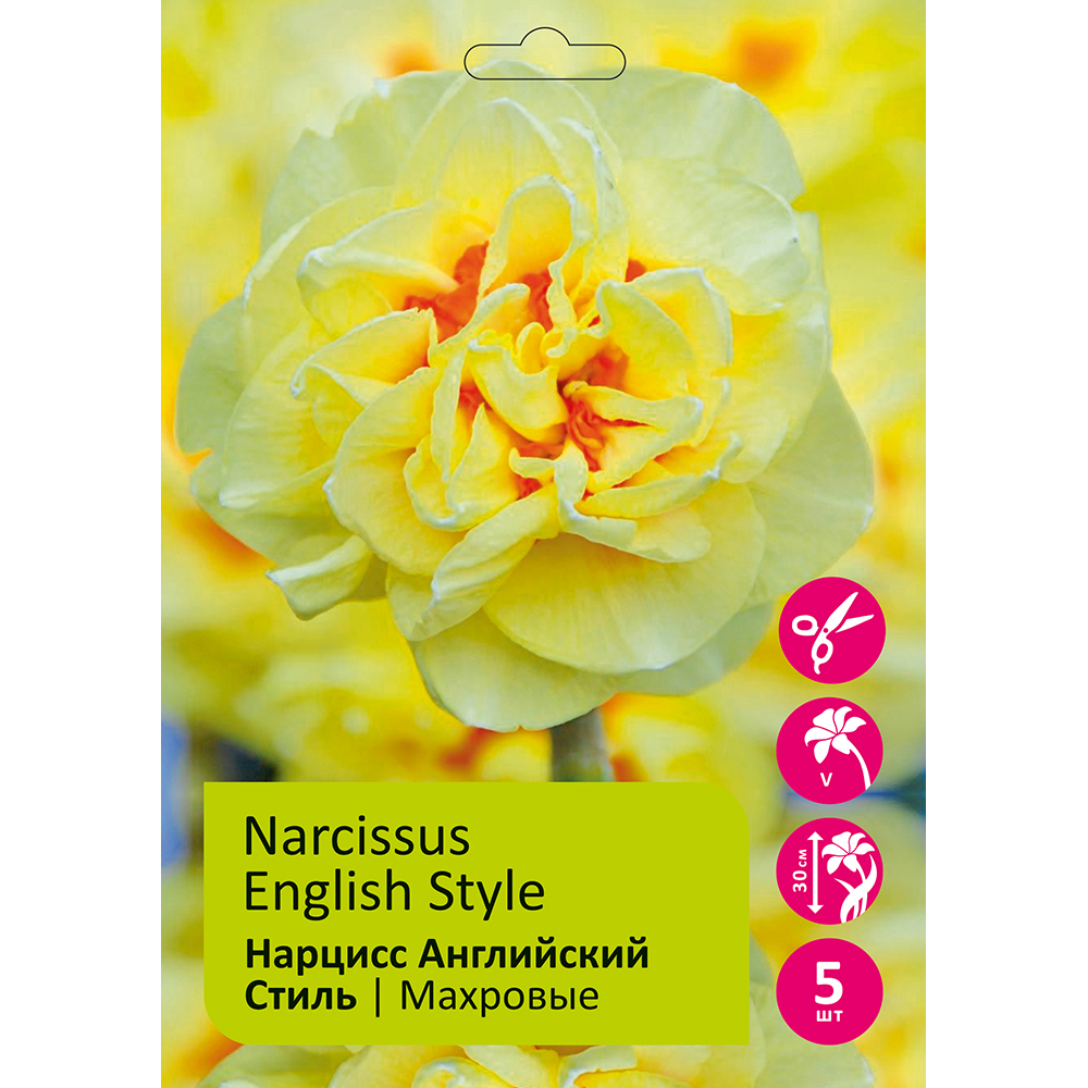 Нарциссы Английский Стиль махровые 5шт 14/16/ Narcissus English Style