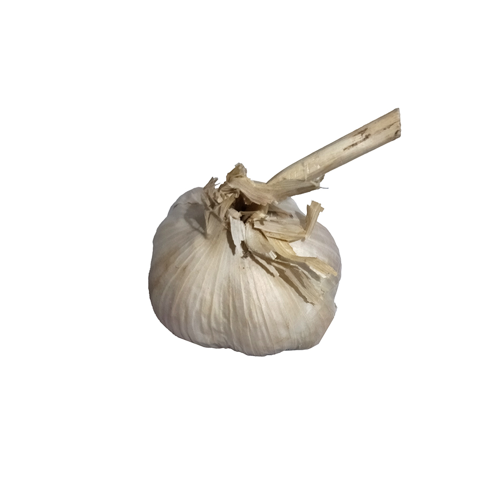 Чеснок семенной Сержик 10кг  +/- 10%