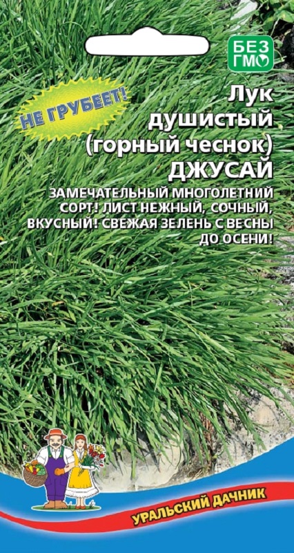 Лук душистый Джусай (горный чеснок) 0,25гр/10