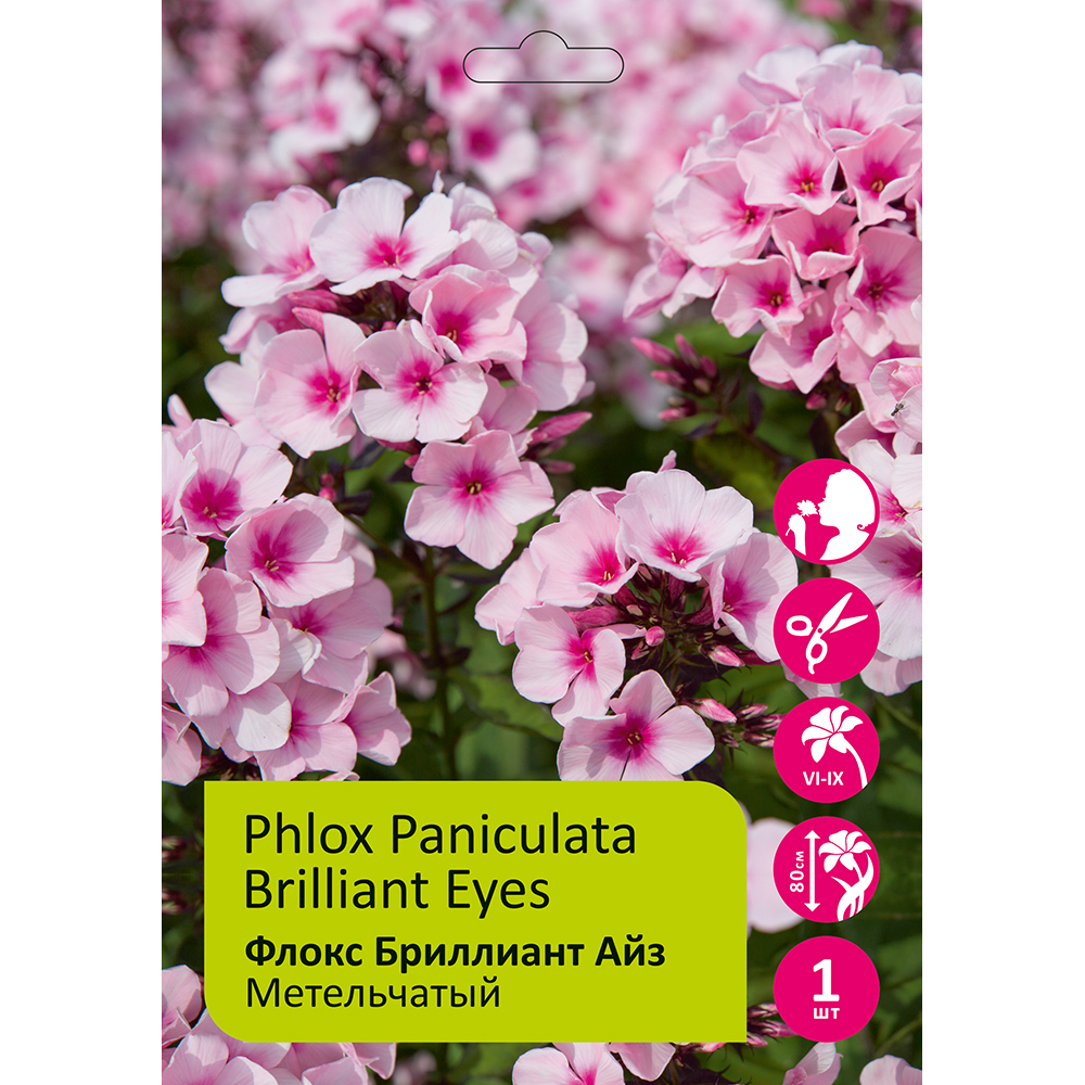 Флокс Бриллиант Айз 1шт метельчатый /Phlox paniculata Brilliant Eyes