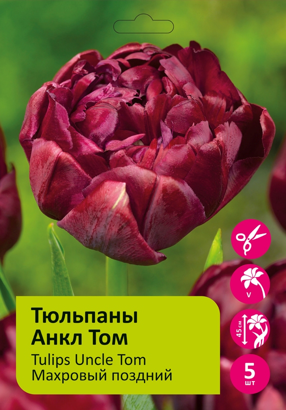 Тюльпаны Анкл Том 5 шт 12/+/Tulip Uncle Tom