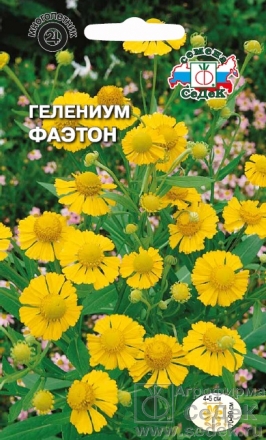 Гелениум Фаэтон  0,1гр/10