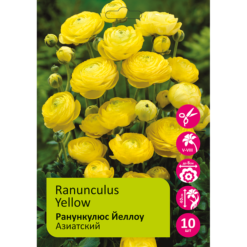 Ранункулюс азиатский Йеллоу 10 шт 5/6 /Ranunculus Yellow