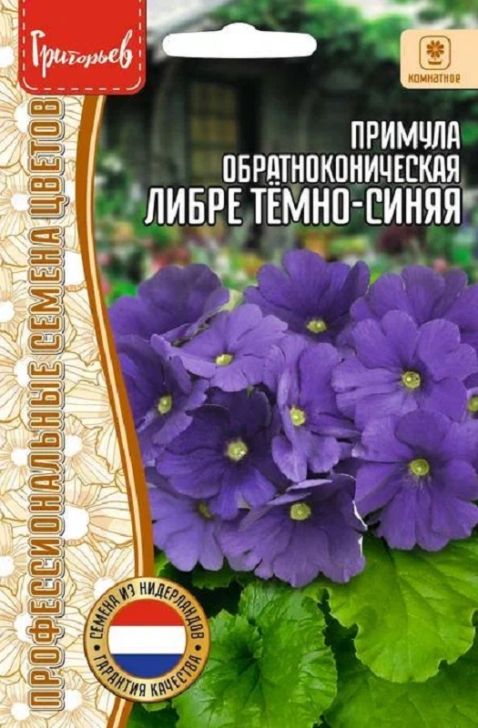 Примула Либре Тёмно-Синяя обратноконическая 4шт/10