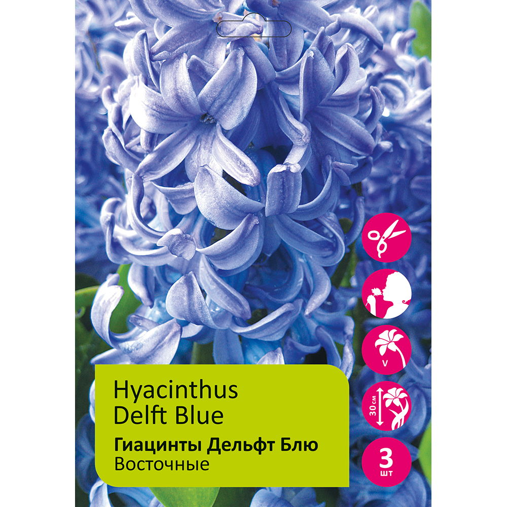 Гиацинты Дельфт Блю 3 шт 17/18 /HYACINTH DELFT BLUE
