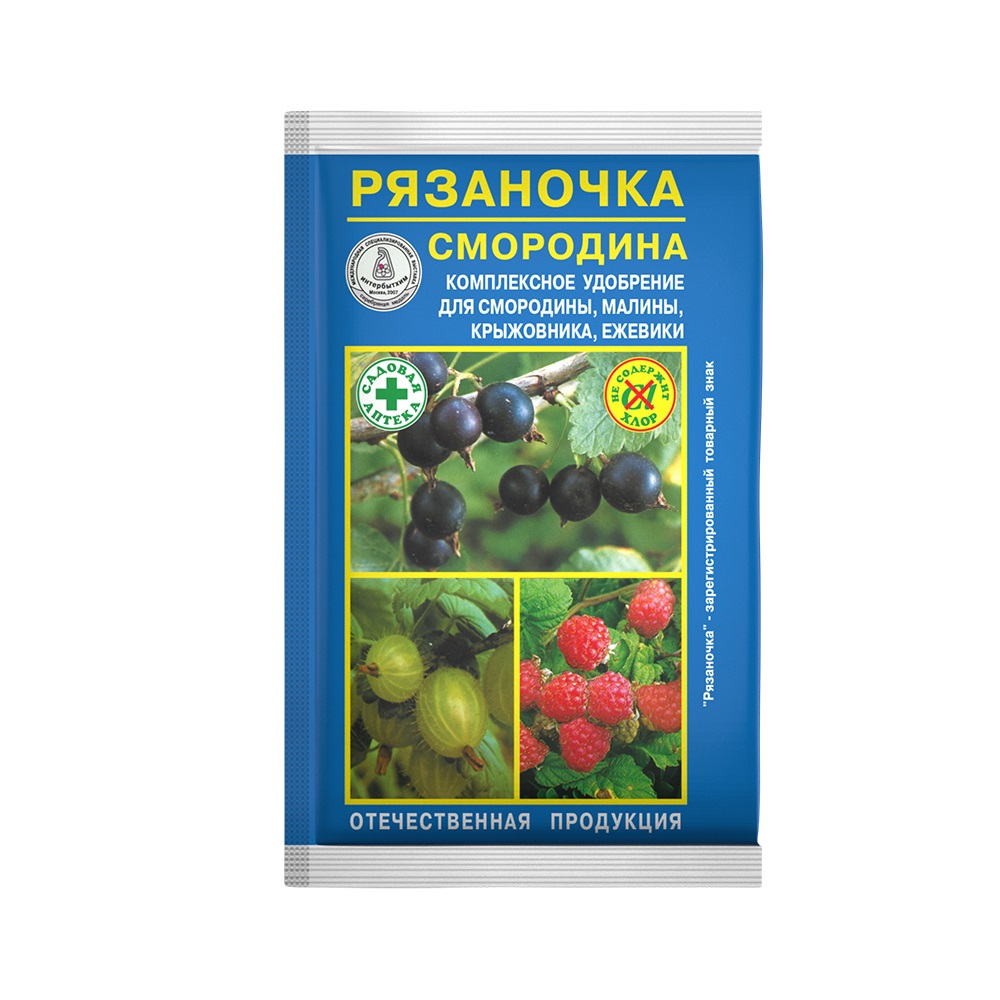 Удоб РЯЗАНОЧКА СМОРОДИНА 60гр/120