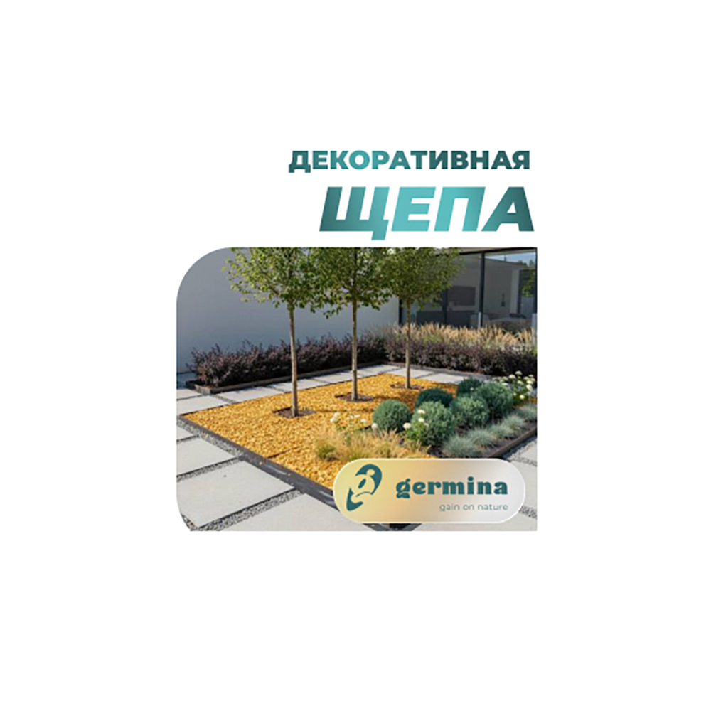 Щепа из хвойных пород дерева Янтарь 50л /
