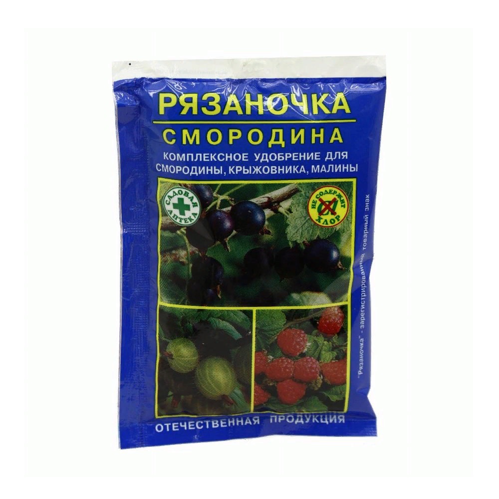 Удоб РЯЗАНОЧКА СМОРОДИНА 60гр/120