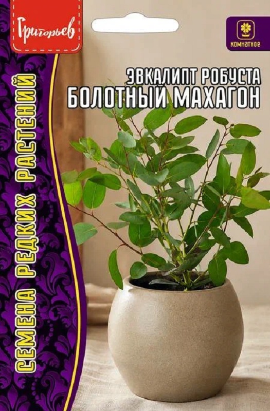 Эвкалипт Болотный Махагон робуста 20 шт /10