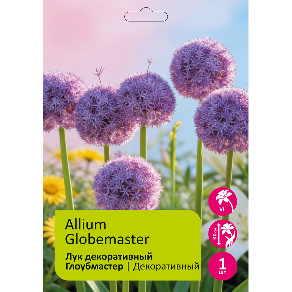 Лук Глоубмастер декоративный 1 шт 18/20 /ALLIUM GLOBEMASTER
