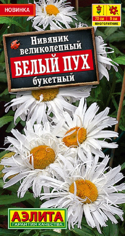 Нивяник великолепный Белый пух букетный 25шт  /10