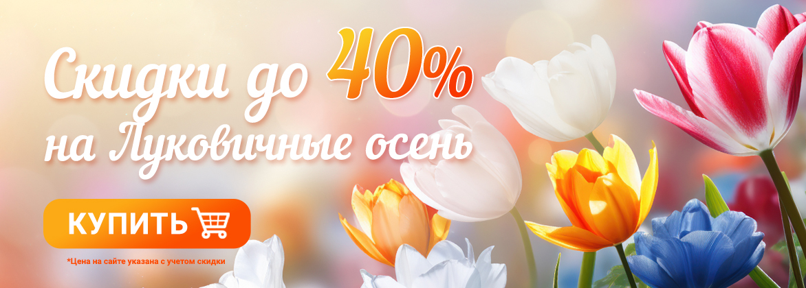 скидка до 40% на луковичные осень 2026