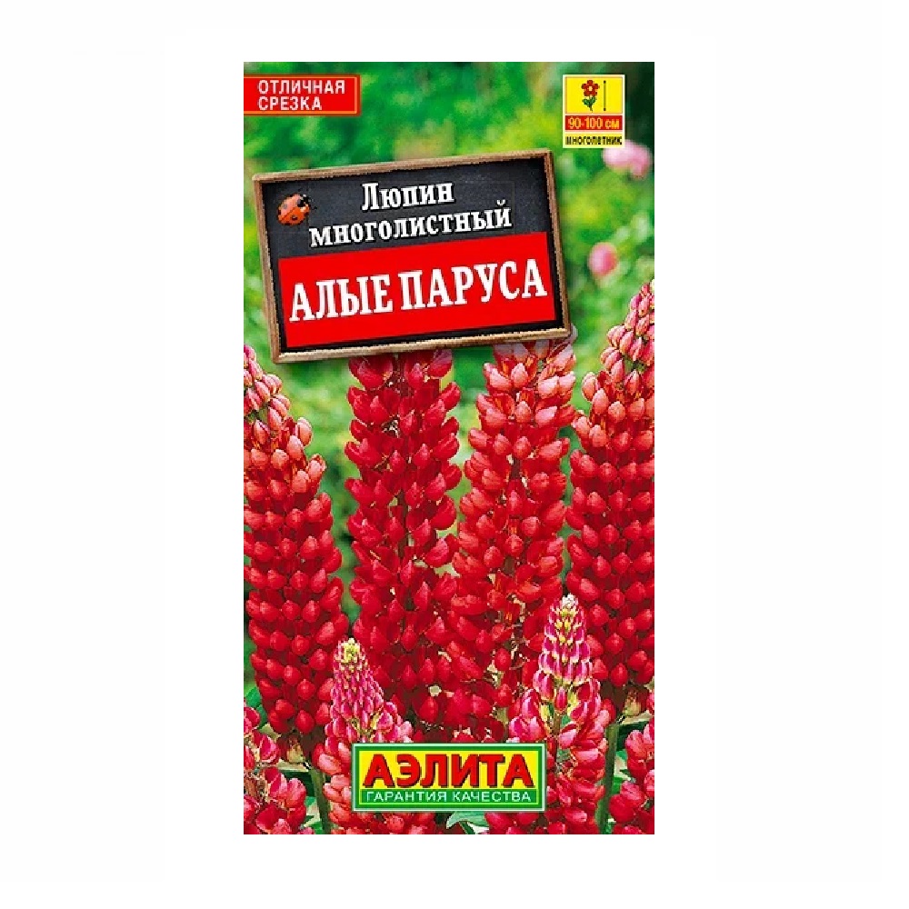 Люпин Алые паруса  15шт /10