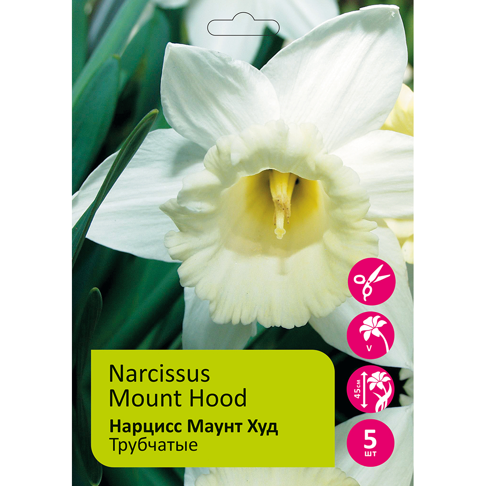 Нарциссы Маунт Худ трубчатый 5шт 14/16/ Narcissus Mount Hood