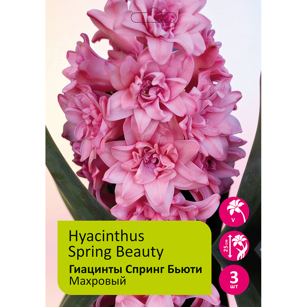 Гиацинты Спринг Бьюти 3шт 17/18 / HYACINTH SPRING BEAUTY